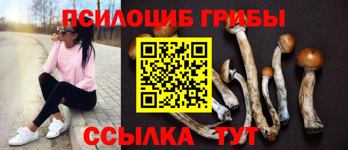 Галлюциногенные грибы мицелий Урай
