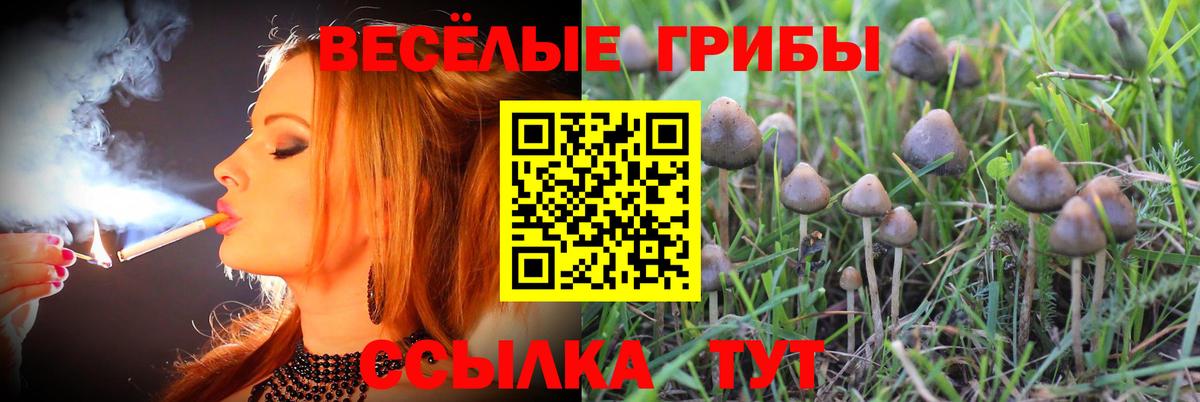 Псилоцибиновые грибы Psilocybine cubensis  Вход с VPN  Псилоцибиновые грибы Cubensis  Урай 